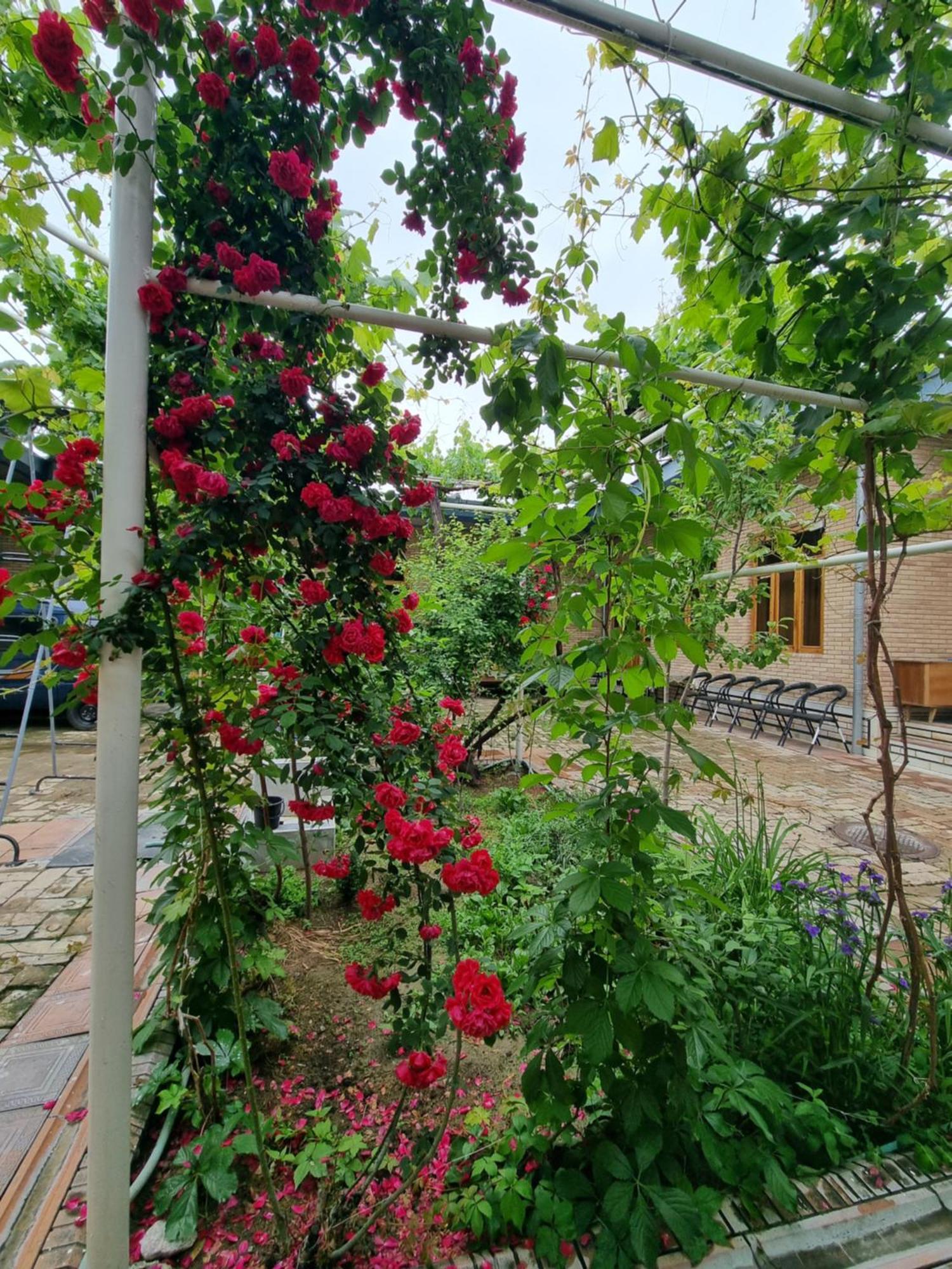 Hostel Muborak Samarcanda Exterior foto